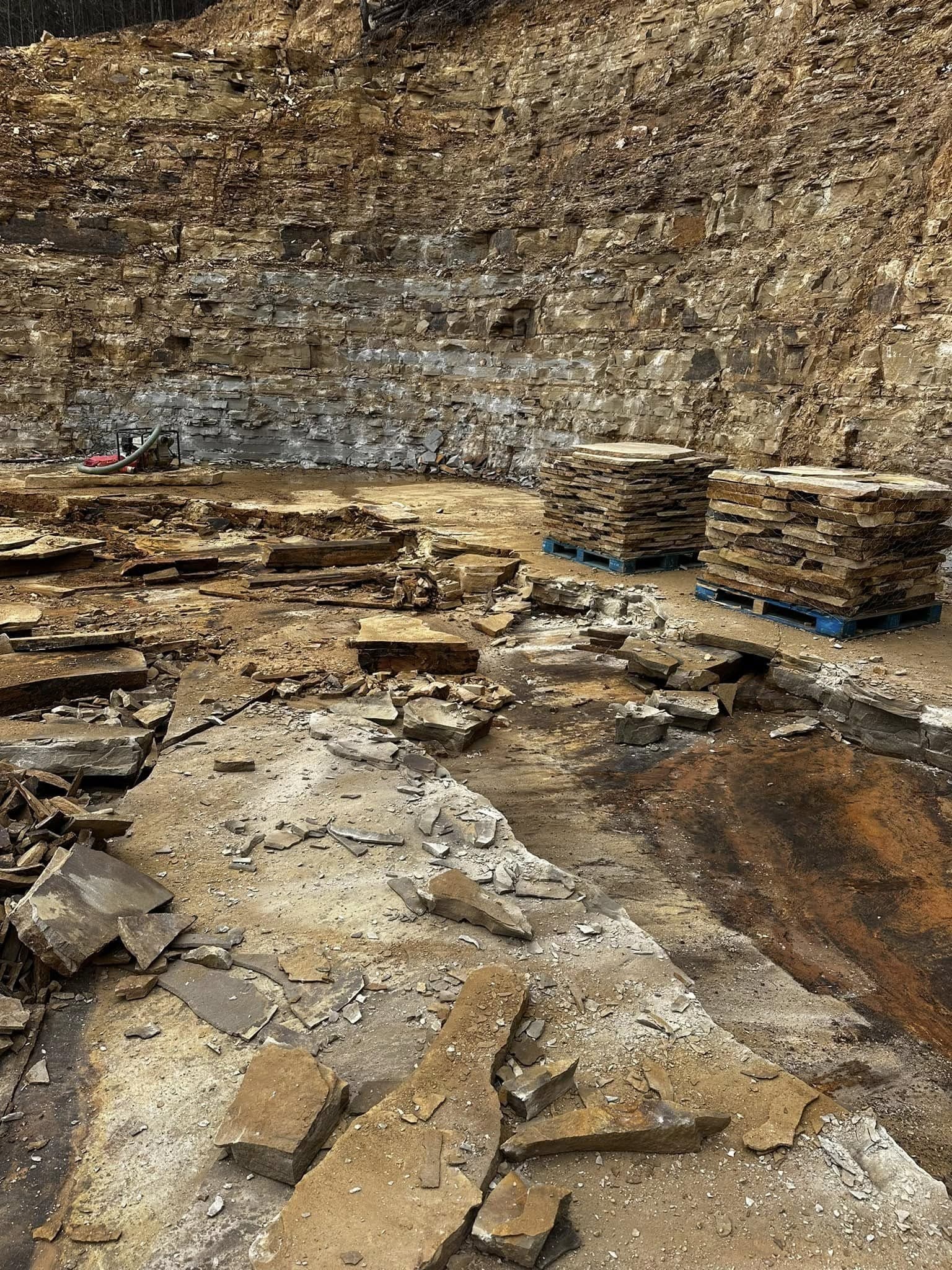 Flagstone — detail 6